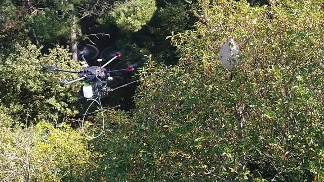 La réplica a la velutina está en el aire — Diario de Pontevedra