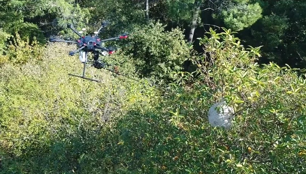 'Drone Velutina': combatiendo la avispa asiática desde el aire — GCiencia