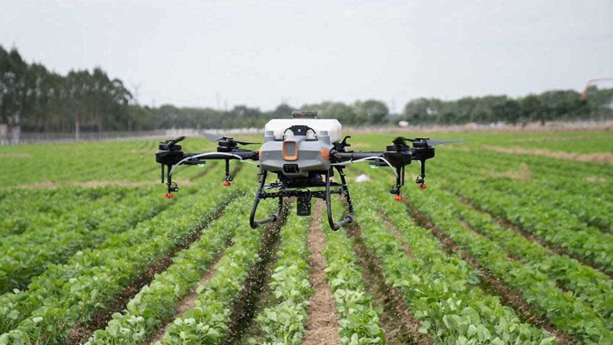 Los drones llegan al campo: la revolución de la agricultura de precisión — Libre Mercado