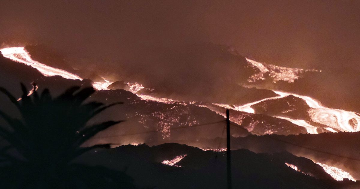 Drone company will try to rescue stranded dogs on La Palma — The Seattle Times