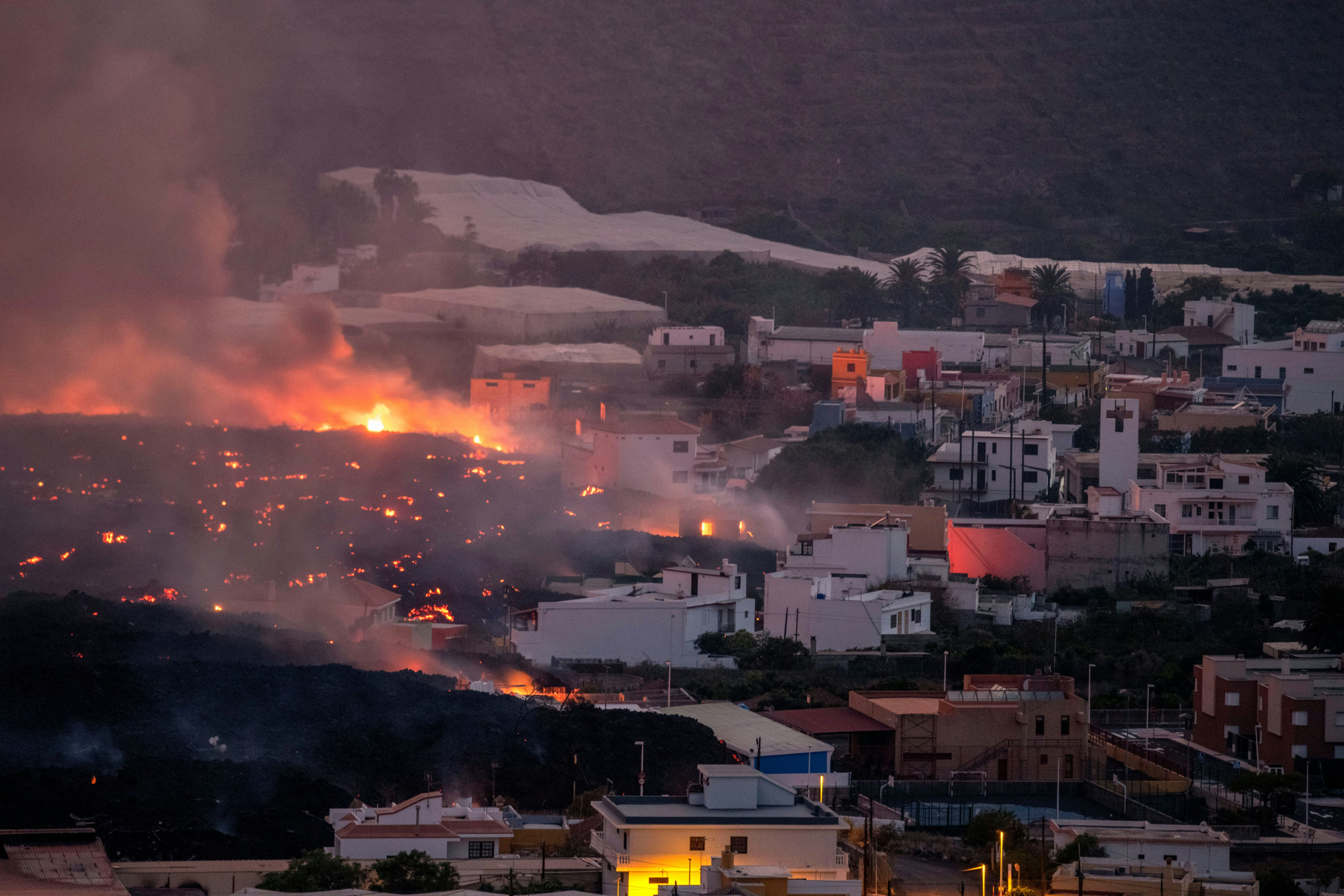 La Palma: Mysteriöses „A Team" will von Lava bedrohte Hunde gerettet haben — Berliner Zeitung