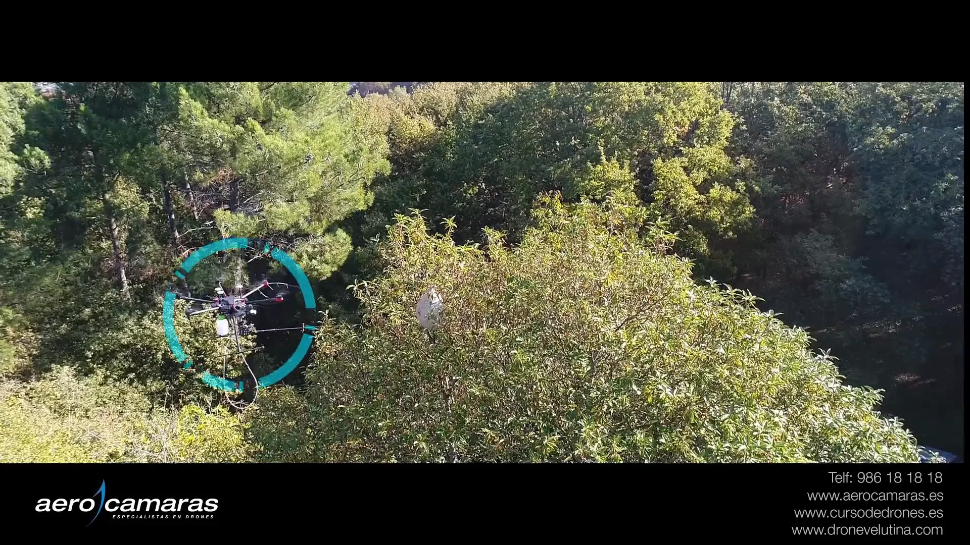 Drone Velutina // Lucha contra la avispa asiática — Vimeo