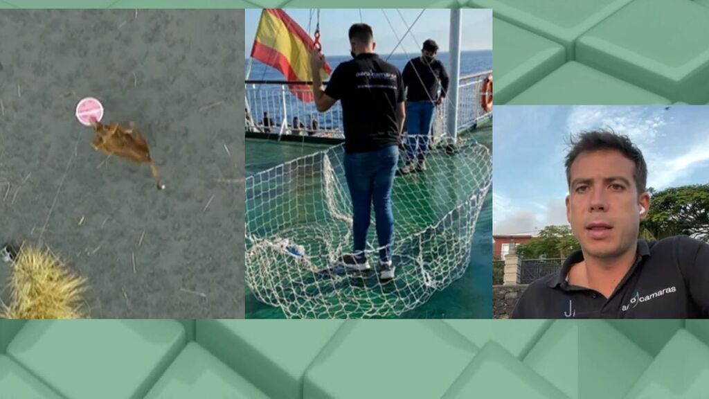 El rescate por dron de los animales de La Palma, al detalle (Ana Rosa) — Telecinco