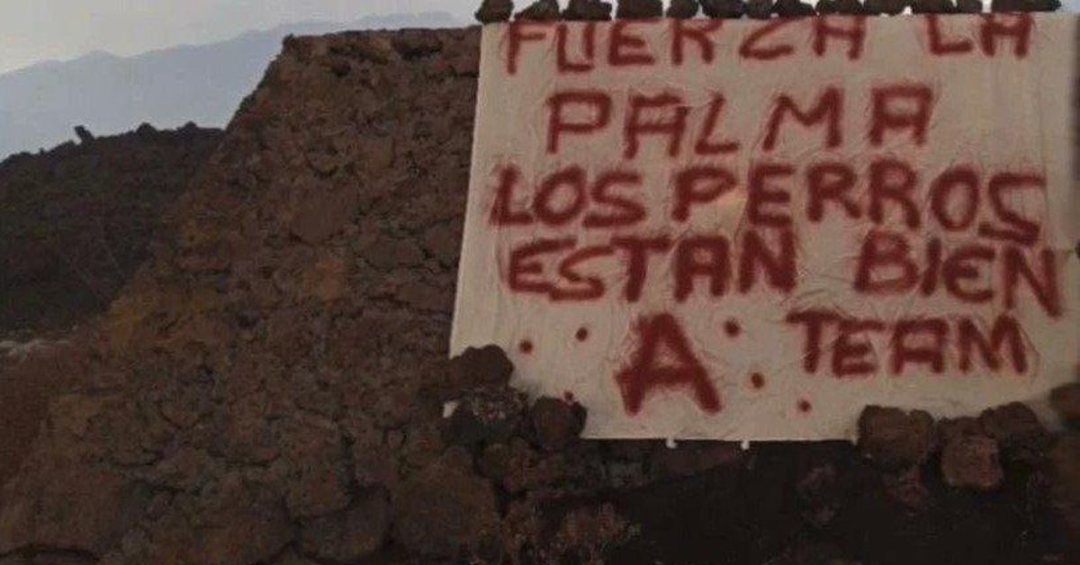 Un misterioso "Equipo A" salva a los perros de La Palma de los drones gallegos — Atlántico