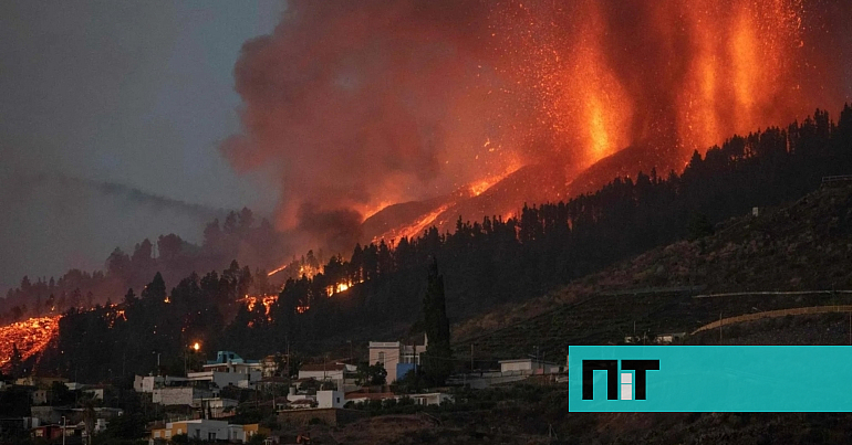 No dia do inédito resgate com drones, os cães de La Palma desapareceram — NiT (Portugal)