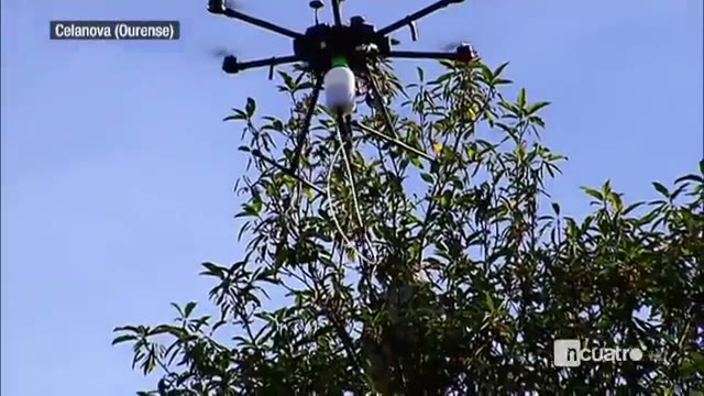 Informativos Cuatro Avispa Velutina Aerocamaras