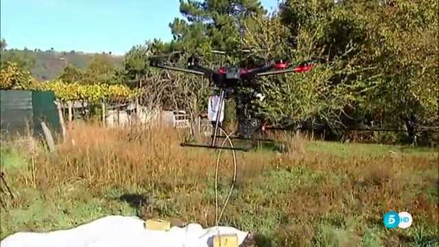Informativos Telecinco - Avispa Velutina Aerocamaras