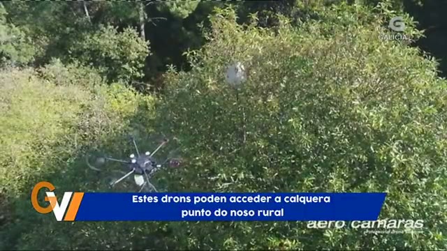 Galicia Viva TVG - Aerocamaras neutraliza velutinas con drones
