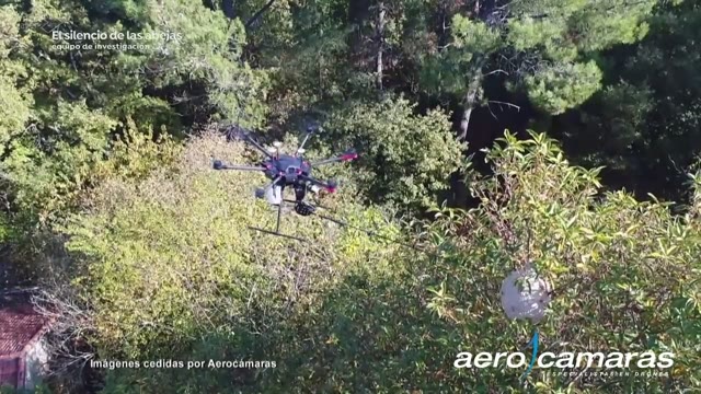 La sexta equipo de investigación, Dron Velutina.