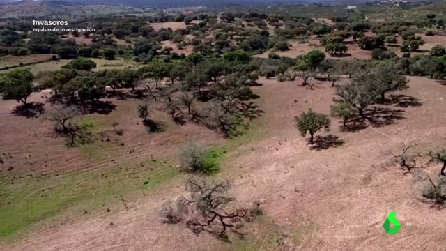 Aerocamaras participa en Equipo de Investigación de La Sexta(26-04-19)