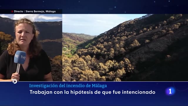 Imágenes de Aerocamaras en TVE - Incendio Sierra Bermeja